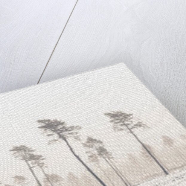 Snowy forest in winter by Assaf Frank